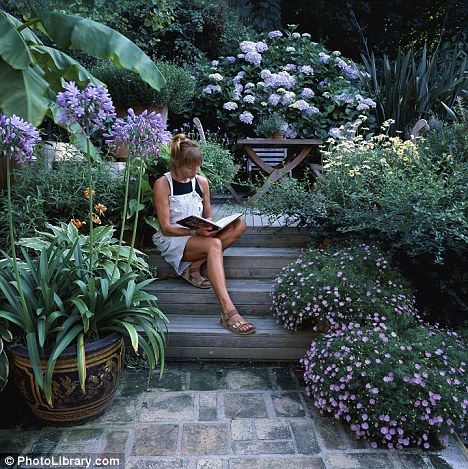 Lawnless Garden, Relaxation Garden, Gardening Painting, Relaxing Garden, Terrace Gardening, Garden Grass, Small Courtyard Gardens, Courtyard Gardens Design, Low Maintenance Landscaping