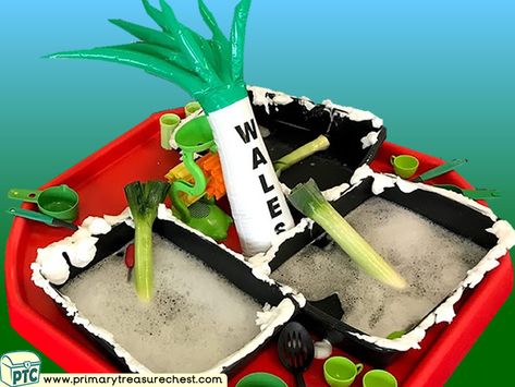 Wales - Saint David’s Day - Dydd Santes Dwynwen – Leeks - Cawl Themed Water Multi-sensory Mouldable Soap - Vegetables Tuff Tray Ideas and Activities Welsh Activities Eyfs, St Davids Day Eyfs, Nurture Group, Tuff Tray Ideas, St David, Tuff Spot, Area Activities, Saint David, Water Activity