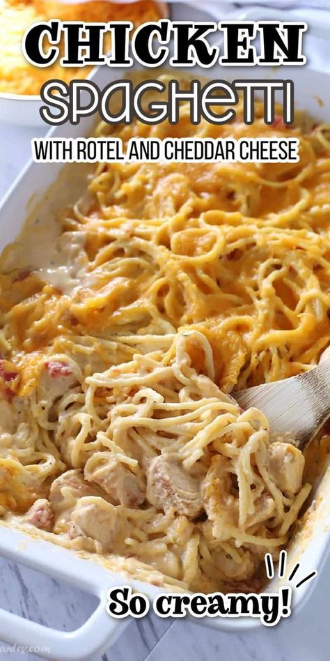 Easy and creamy chicken spaghetti with Rotel for the best comfort food. Made with pantry ingredients this easy recipe is going to be your favorite. Chicken Spaghetti With Rotel, Spaghetti With Rotel, Creamy Chicken Spaghetti, Rotel Chicken Spaghetti, Easy Chicken Spaghetti, Cheddar Sauce, Chicken Spaghetti Recipe, Rotel Recipes, Creamy Pasta Bake