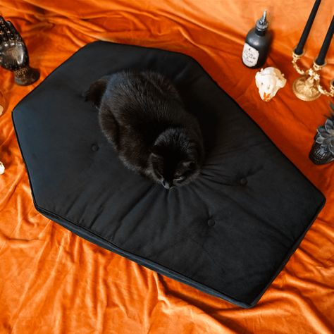 Critter Coffin - Coffin Shaped Memory Foam Pet Bed for Dogs & Cats Goth Pet Accessories, Goth Minimalist Home, Coffin Cat Bed, Cat Apartment Ideas, Cat Diy Projects, Kitty Closet, Apartment Cat Ideas, Goth Bed, Gifts For Cats