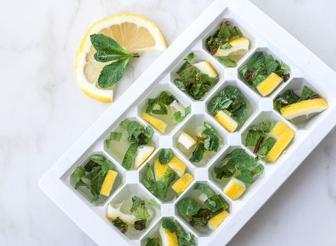 From preserving coffee and wine to making baby food, ice cube trays can be used for more than just freezing water! Here are 13 mind-blowing creative ice cube tray hacks. Ice Cube Tray Hacks, Ice Cube Tray Recipes, Creative Ice Cubes, Flavored Ice Cubes, Leftover Wine, Freezing Herbs, Making Baby Food, Storing Vegetables, Peach Syrup