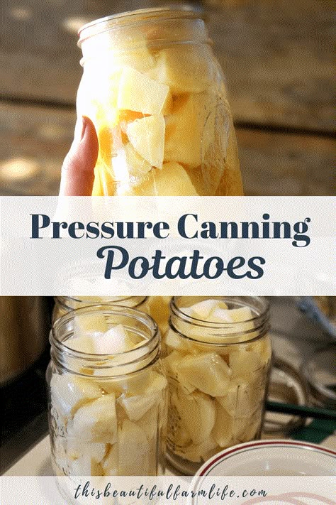 Pressure Canning Potatoes - this beautiful farm life Quick Potato Soup, Can Potatoes, Creamed Peas And Potatoes, Canning Potatoes, Canning Granny, Pressure Canning Recipes, Canned Potatoes, Canning Vegetables, Soup Appetizers