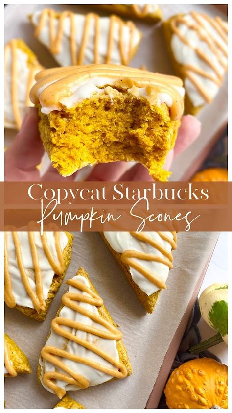 Copycat Starbucks Pumpin Scones Pumpkin Scones Starbucks, Starbucks Pumpkin Scones, Gingerbread Scones, Moldy Bread, Baking Fails, Copycat Starbucks, Pumpkin Scones, Starbucks Pumpkin, Starbucks Copycat