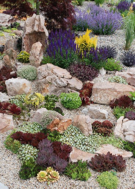 Succulent rock garden with Chick Charms & Sunsparkler Sedums - www.chickcharms.net www.sunsparklersedums.com Perennial Rock Garden Landscaping, Tiny Rock Garden, Landscaping With Flat Rocks, Rock Garden Patio Ideas, Succulents Rock Garden, Rock Pile Garden, Vertical Rock Garden, Rock Outcropping Landscaping, Flat Rock Garden