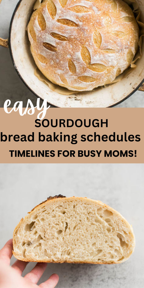 sourdough bread baked in a dutch oven on a same day timeline Same Day Sourdough Bread, Same Day Sourdough, Easy Sourdough Bread, Beginners Bread Recipe, Easy Sourdough Bread Recipe, Recipe Using Sourdough Starter, Best Homemade Bread Recipe, Sourdough Bread Starter, Sourdough Bread Sandwiches