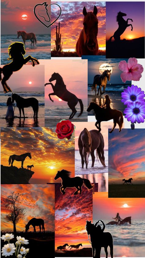 Horse Riding Wallpaper Iphone, Horse Wallpaper For Ipad, Cute Horses Aesthetic, Horse Riding Wallpaper, Cute Horse Wallpapers, Equitation Aesthetic, Horses Sunset, Horse Collage, Aesthetic Horses