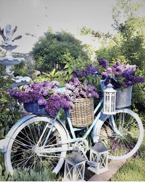 Bicycle Planter Ideas, Garden Bicycle, Bicycle Decoration, Bicycle Planter, Bike Planter, Cement Garden, Bicycle Decor, Planter Garden, Front Yard Garden Design