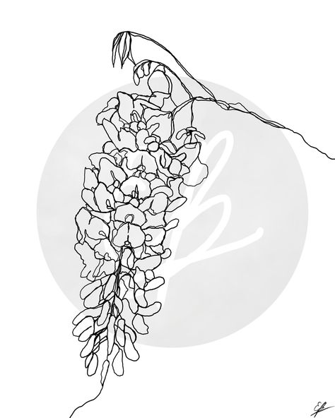 Wisteria Flower Tattoo, Wisteria Branch, Wisteria Tattoo, Entryway Flowers, Birthday Tattoos, Flower Tattoo Stencils, Wisteria Flower, Line Art Digital, Birthday Tattoo