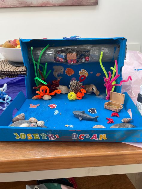 Ocean Shoe Box Project, Ocean Biome, Shoe Box Diorama, Shoebox Crafts, Biome Project, Turtle Project, Channel Tunnel, Ocean Diorama, Biomes Project