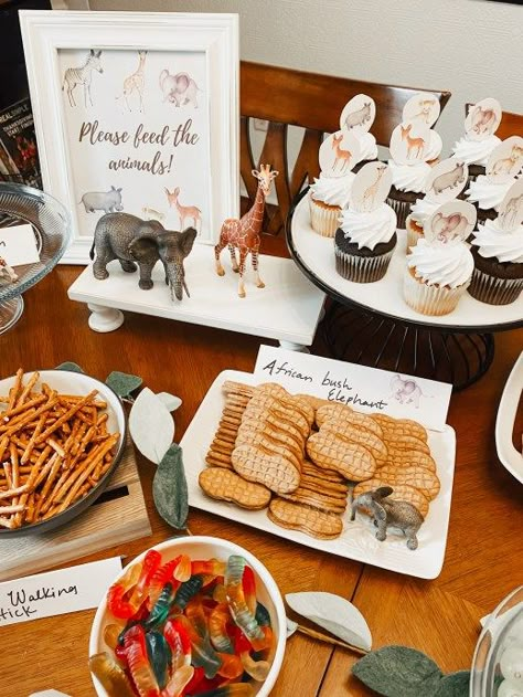 Zoo Party Food, Animal Themed Birthday Party, Zoo Birthday Party, Animal Party Theme, Animal Theme Birthday, 2nd Birthday Party For Girl, Wild Birthday Party, Zoo Birthday, Second Birthday Ideas