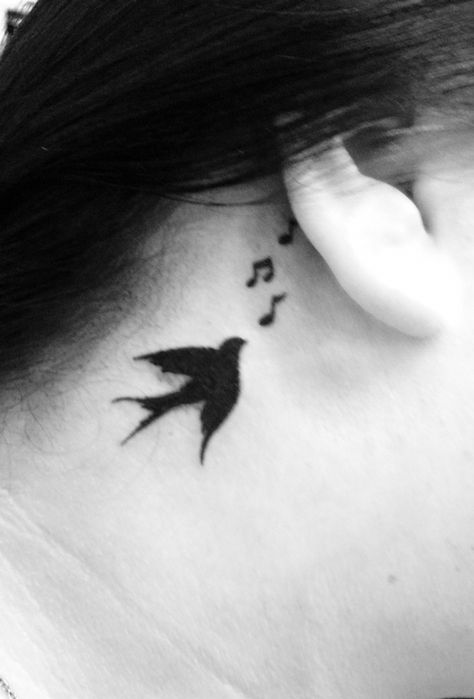 Swallow Music Note Tattoo! My new song bird tattoo! Bird Music Tattoo, Song Bird Tattoo, Tattoo Sparrow, Songbird Tattoo, Buttercup Tattoo, Musical Tattoos, Ears Tattoo, Swallow Bird Tattoos, Music Bird