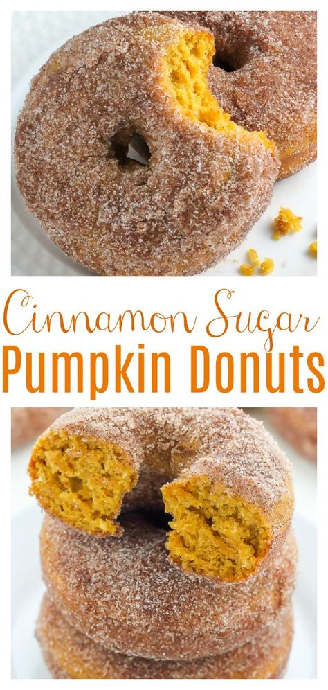 Doughnut Recipes, Baked Donut, Cheesecake Vegan, Fall Recipes Pumpkin, Homemade Donuts Recipe, Morning Brunch, Cinnamon Sugar Donuts, Donut Recipe, Sugar Pumpkin