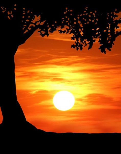 Sunset Silloute, Silhouette Painting Ideas, Tree Silhouette Painting, Tree Silhouette Sunset, Tree Trunk Painting, Oak Tree Silhouette, Silhouette Sunset, Country Sunset, Sunset Tattoos