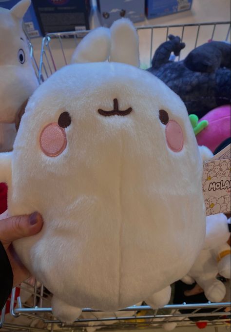 Big Plushies Aesthetic, Sanrio Plush Aesthetic, Bunny Plush Aesthetic, Cute Plush Aesthetic, Kawaii Plushies Aesthetic, Molang Plushies, Molang Plushie, Molang Plush, Molang Cute