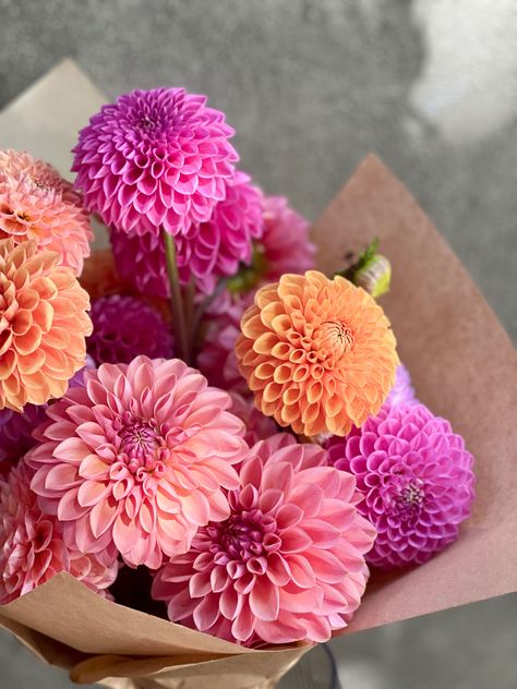 Wedding Bouquets Dahlia, Dahlia Flower Bouquet, Pastel Flower Bouquet, Dalia Flower, Romance Booktok, Pink Dahlias, Dahlia Pink, Flower Boquet, Dahlia Bouquet