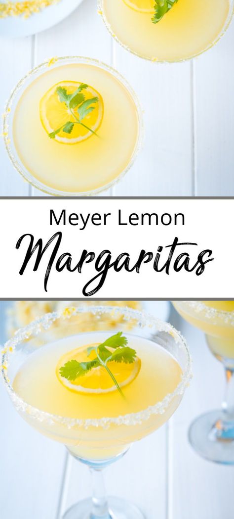 Lemon Margarita Recipe, Traditional Margarita Recipe, Simple Margarita Recipe, Simple Margarita, Lemon Margarita, Summer Margaritas, Meyer Lemon Recipes, Easy Margarita Recipe, Flavored Margaritas