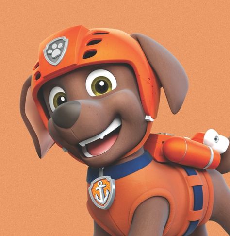 Paw Patrol Zuma, Childhood Crushes, Zuma Paw Patrol, Rubble Paw Patrol, Paw Patrol Nickelodeon, Brown Dog, Paw Patrol, Rocky, Candy