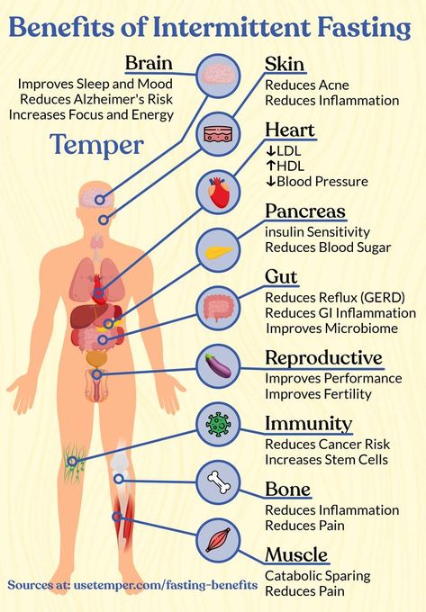 Intermittent fasting is the fastest-growing health lifestyle in the US. But what does the research say? We’ve dug into the research and assembled all the top benefits of intermittent fasting and outlined them system-by-system for the human body. Benefits Of Intermittent Fasting, 500 Calorie, Intermittent Fasting Diet, Improve Fertility, Healthy Body Weight, Fasting Diet, Sciatica, Health Facts, Intermittent Fasting