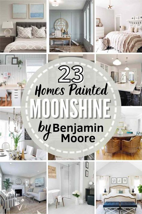 Benjamin Moore Moonshine is a timeless cool-leaning green-gray paint color. Learn all about its undertones see it in 19 REAL homes! #moonshine #benjaminmoore #benjaminmooremoonshine #benmooremoonshine #moonshinelivingroom #moonshinebedroom #moonshinebathroom #moonshinekitchen #benjaminmooremoonshinecabinets #greengraypaint #paintcolor #paint Benjamin Moore Moonshine, Benjamin Moore Bedroom, Benjamin Moore Bathroom, Benjamin Moore Kitchen, Green Grey Paint, Benjamin Moore Gray, Wall Colours, Real Homes, Paint Colors Benjamin Moore