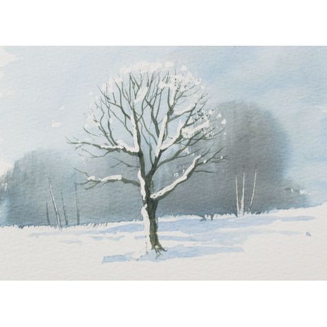 Snow Tree Drawing, Snow Tree Painting, Snow On Trees Drawing, Winter Trees Painting, Winter Tree Drawing, How To Draw Snow, Terry Harrison, Watercolor Snowy Trees, Oak Tree Drawings