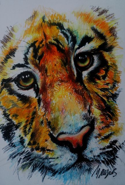 oil pastels | Tiger - oil pastel study | Flickr - Photo Sharing! Pastel Artwork, Oil Pastel Paintings, Oil Pastel Art, Oil Pastel Drawings, Tiger Art, Tableau Art, Chalk Pastels, Oil Pastels, Arte Animal