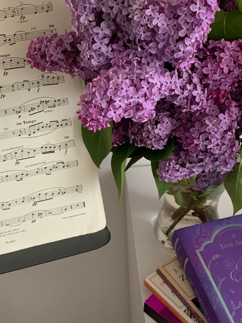 pinterest, pinterest aesthetic, flower, lilac, purple lilac, purple, vase, jane austen, books, book, literature, classical music, music, schumann, oboe, piano, violin, viola, flute, cello, aesthetic, aesthetic picture, aesthetic lifestyle, mother’s day, spring, summer, reading, score, sheet music Cello Aesthetic, Violin Pics, Flower Lilac, Purple Vase, Purple Vibe, Drawing Sheet, Jane Austen Books, Aesthetic Flower, Purple Themes