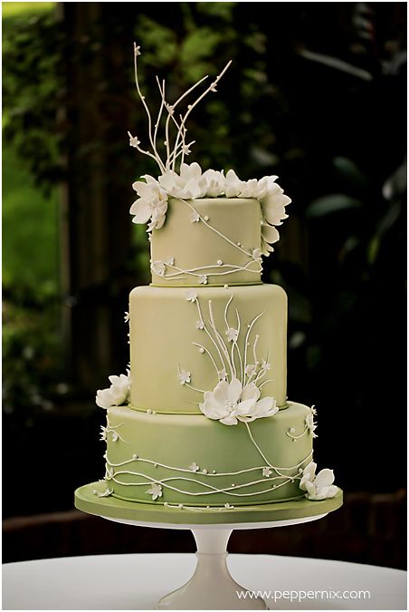 Green Wedding Cake, Green Cake, Magazine Clippings, Tiered Cake, Princess And The Frog, Unique Cakes, Wedding Cake Inspiration, Beautiful Wedding Cakes, Gorgeous Cakes