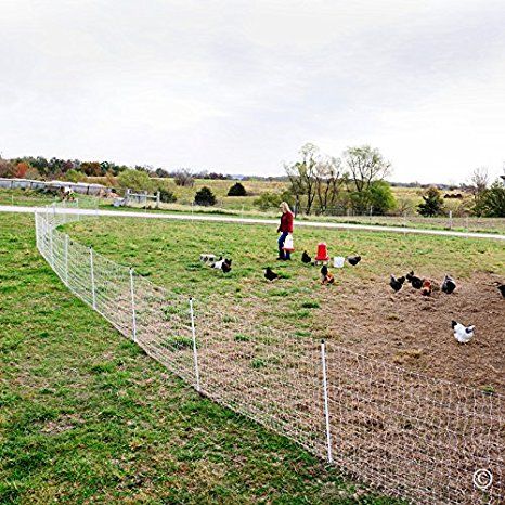 Premier PoultryNet Electric Fence, 48"H x 164L, Double Spiked, White - Premier Top Seller Raising Turkeys, Chicken Fence, Turkey Farm, Goat Care, Free Range Chickens, Electric Fence, Diy Chicken Coop, Chicken Diy, Chicken Farm