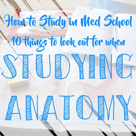 Tips On Studying, Mcat Study Tips, Studying Anatomy, Anatomy Tips, Med School Student, Med School Study, Study Blog, Nursing Study Tips, American Student