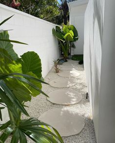 Concrete Path, Side Yard Landscaping, Tropical Garden Design, Pool Landscape Design, Backyard Pool Landscaping, So Many Questions, Casa Exterior, Side Garden, Elephant Ears