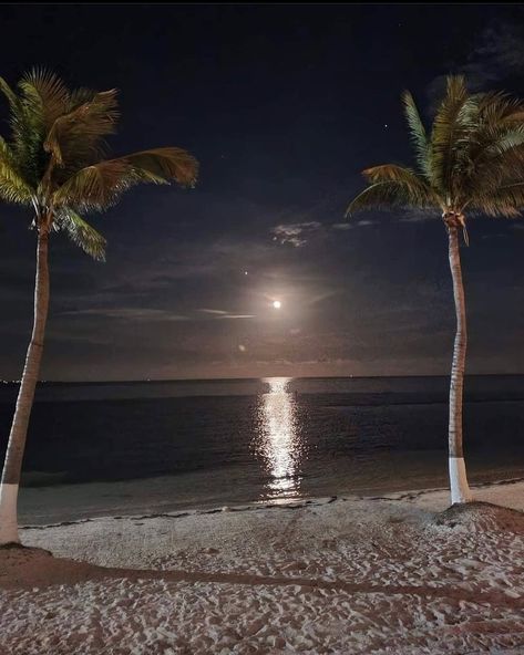 Cancun on Instagram: “Day or night… the view is just flawless… #cancun #playadelcarmen #mexico #caribbean #instatravel #travel #live #enjoy Credit:…” Bahamas Wedding, Bahamas Cruise, Beach At Night, Caribbean Beaches, Mexico Vacation, Cancun Mexico, Summer Pictures, Pretty Places, Cancun