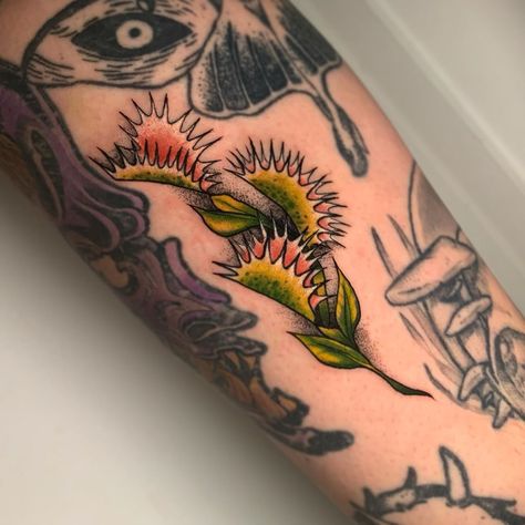 Tiny Filler Tattoo Ideas, Venus Fly Trap Wallpaper, Neo Traditional Sleeve Filler, Tattoo Space Filler Ideas Sleeve, Venus Fly Trap Tattoo Design, Ear Of Corn Tattoo, Venus Fly Trap Tattoos, Venus Fly Trap Traditional Tattoo, Venus Flytrap Tattoo Design