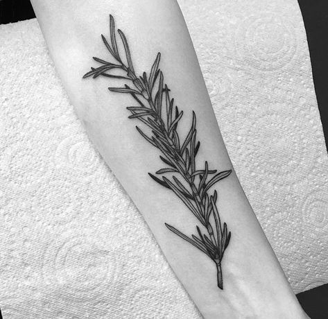 Herbs Tattoo, Welsh Tattoo, Rosemary Tattoo, Herb Tattoo, Culinary Tattoos, Olive Tattoo, Protection Tattoo, Food Tattoos, Botanical Tattoo