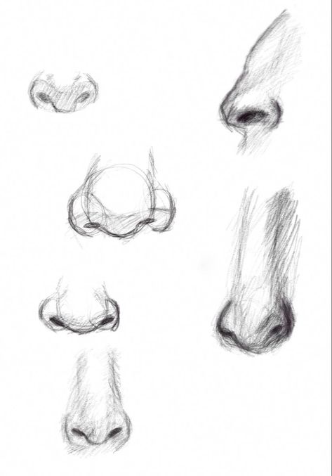 Nose Types, Health Guru, Nose Shapes, Yoga Inspiration, The Selection, Health