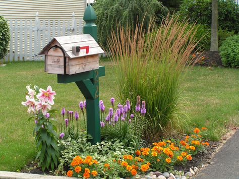 This little garden has perennials, annuals and ornamental grass. Front Yard Arbor, Mailbox Gardens, Light Post Landscaping, Mailbox Garden Ideas, Mailbox Landscaping Ideas, Mailbox Curb Appeal, Fence Gate Ideas, Box Gardens, Whimsy Garden