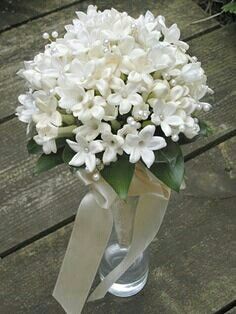 Wedding Bouquet Featuring: White Stephanotis (Madagascar Jasmine) Stephanotis Wedding Bouquet, Stephanotis Bouquet, Madagascar Jasmine, Flower Arrangements For Weddings, Brides Flowers Bouquet, Pearl Bouquet, Jasmine Wedding, Flower Girl Bouquet, Wedding Bouquets Bride