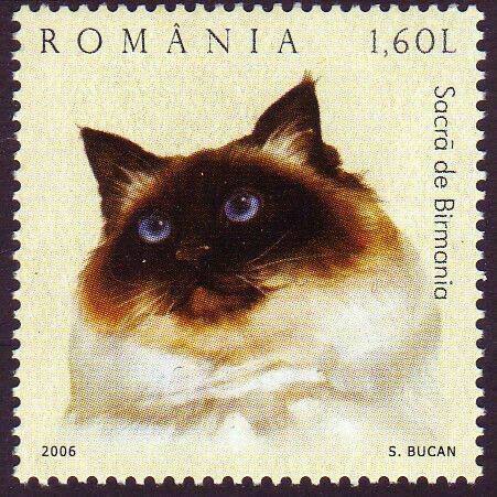 Post Stamp Vintage, Cute Stamps, Postage Stamp Design, Birman Cat, Cat Stamp, Postage Stamp Art, Cat Post, Silly Cats Pictures, Post Stamps