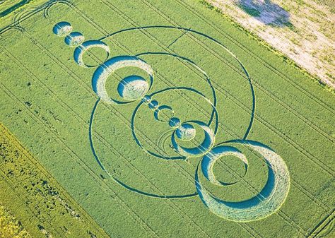 Crop Circles Sacred Geometry, Circle Tattoo, Ancient Astronaut, Sacred Circle, Crop Circle, Architecture Tattoo, Crop Circles, Ancient Mysteries, Geometric Circle