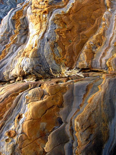 Mountain Formation, Rock Textures, Carmel Ca, Geology Rocks, Cool Rocks, Natural Rock, Rock Formations, Galveston, Patterns In Nature