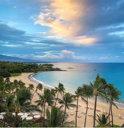 Kohala Coast Hawaii, Mauna Kea Beach Hotel, Hawaii Real Estate, Mauna Kea, Large Yard, Hawaii Life, Vacant Land, The Big Island, Beach Hotel