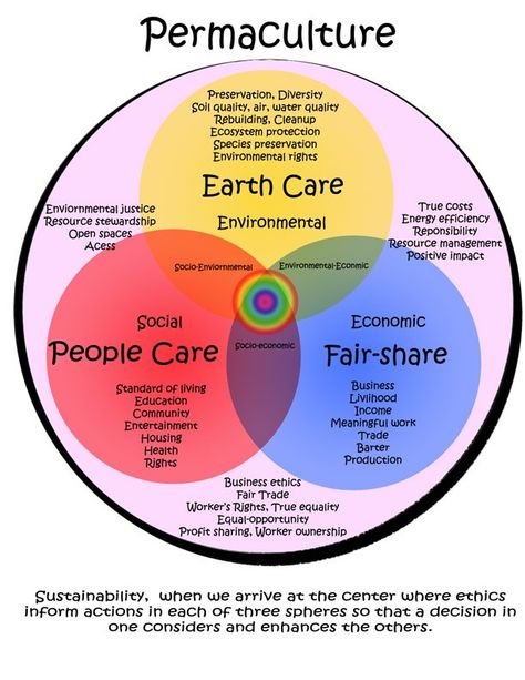 Permaculture principles – Wildcraftings Permaculture Principles, Ecology Design, Permaculture Gardening, Permaculture Design, Natural Ecosystem, Sustainable Agriculture, Food Forest, Water Resources, Environmental Design