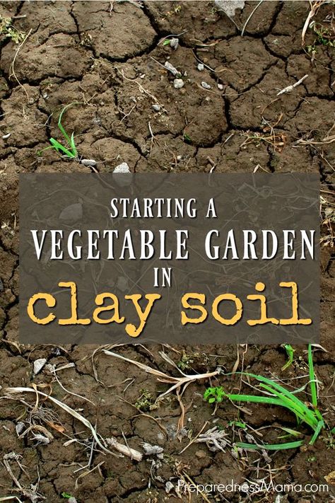 Soil Regeneration, Preparedness Mama, Amending Clay Soil, Vegetable Garden Soil, Garden Soil Preparation, The Rules, Vertical Vegetable Gardens, Busch Gardens Tampa, Vertical Vegetable Garden