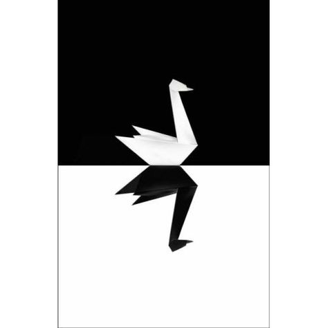 Swans Nassim Taleb, Notan Design, Black Swan Event, Notan Art, Contrast Art, The Black Swan, Economic Crisis, Principles Of Art, Principles Of Design