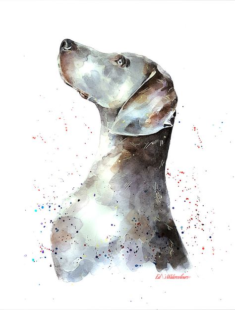 That Weimaraner Look" Print Watercolour Dog Art Print, Highland Cow Print, Dog Print Art, Watercolor Dog, Weimaraner, Arte Animal, Dog Paintings, Watercolor Animals, Dog Portraits