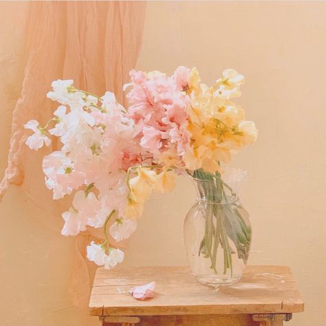 Pink Yellow Flowers Aesthetic, Sunshine Core, Cute Pastel Wallpaper, Flowers Aesthetic, Illustration Art Girl, Cute Kawaii Drawings, Pastel Flowers, Yellow Aesthetic, Fantasy Aesthetic