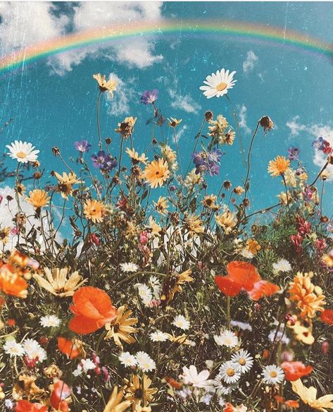 BOHEMIAN DECOR on Instagram: “I do believe that flowers give us positive vibrations 🌸💞 Tag a flower lover 🌺🦋💐 via @odwyer_sio9 🌼🌈 . #flowers #flower #flowerstagram…” Mundo Hippie, Foto Muro Collage, Wallpaper Macbook, Wallpaper Estetika, Wallpaper Flower, Spring Background, Have Inspiration, Spring Wallpaper, Macbook Wallpaper