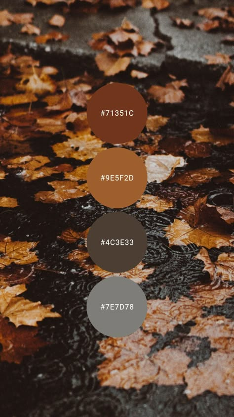 Dark Grey Color Scheme Living Room, Dark Acedamia Color Pallet, Gray And Brown Color Scheme, Bronze Color Palette Colour Schemes, Autumn Color Palette Living Room, Dark Gold Color Palette, Bachelor Apartment Ideas Women, Dark Brown Color Palette Living Room, Dark Gray Color Palette Living Room