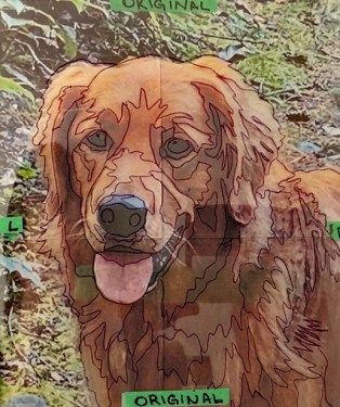 Quilted Art, Portrait Collage, Dog Portraits Art, Photo Quilts, Landscape Art Quilts, Collage Portrait, Dog Quilts, Collage Art Projects, Fabric Collage