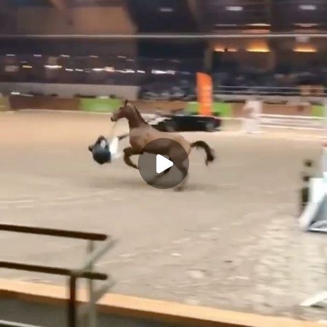 Horses Videos Fails on Instagram: "This is by anonymous🦄 no hate tolerated🚫 - Follow @horsefails_2021official for more and @fools.and.horses ❤️ - #failfriday #horsefails #horsefail #horseridingfail #horseridingfails #horseriding #fail #fails #horse #horsefalls #horsefall #horse #horses #horseofinstagram #jumping #horsejumping #pony #ponies #ponyofinstagram #poniesofinstagram #equine #equestrian #equestrianlife #ponystyle #horsestyle #equestrianstyle #explorepage #horsebackriding #horsepower" Horse Riding Fails, Horse Fails, Horses Videos, Horse Video, Jumping Gif, Show Jumping Horses, Fools And Horses, Pony Style, Horse Videos