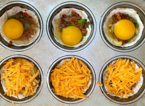 Breakfast Cups Recipe Muffin Tins With Biscuits, Biscuits In Muffin Tin Breakfast Ideas, Bacon Egg And Cheese Muffin Cups, Breakfast Egg Biscuit Muffins, Breakfast Burrito Muffin Tin, Biscuit Cups Muffin Tins, Breakfast Muffin Pan Recipes, Breakfast Muffins With Biscuits, Breakfast Muffin Pan Recipes Egg Cups